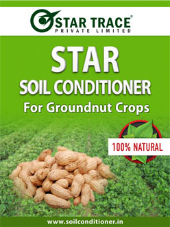 Groundnut-StarTrace Groundnut