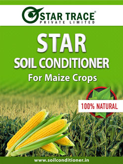 Maize-StarTrace Maize