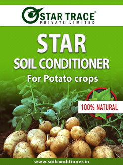 Potato-StarTrace Potato