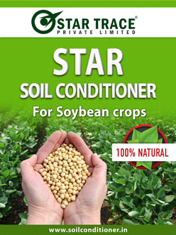Soybean-StarTrace Soybean